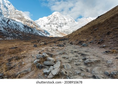 Track to Annapurna Base Camp and Mount Annapurna South, Annapurna Conservation Area, Himalaya, Nepal.