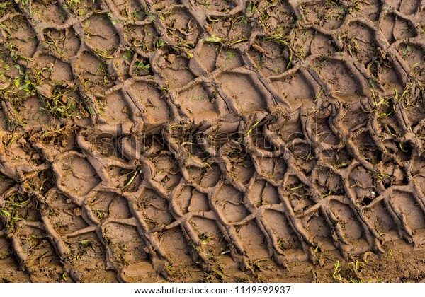 The track of a car tire in the mud on a dirt dirt\
road, texture