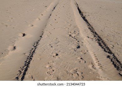 Track Of Car Tires In The Sand On The Beach Tyre Imprints On Sandy Desert Background