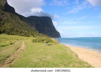 Track Leading Towards Mount Gower, Lord Howe Island, Australia.