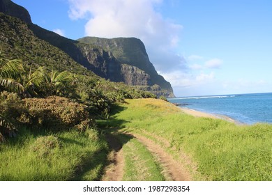 Track Leading Towards Mount Gower, Lord Howe Island, Australia.