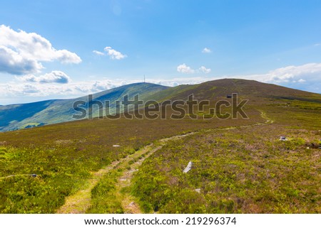 Track to Mount Leinster