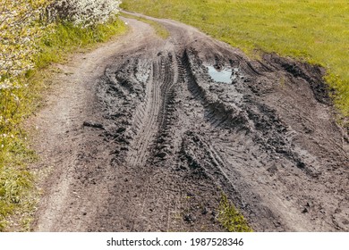 Track on grass field. Broken, forest, dirt, road. Tire tracks on a dirt road among the grass - Powered by Shutterstock