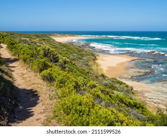 Track On The Great Ocean Walk - Crayfish Bay, Victoria, Australia