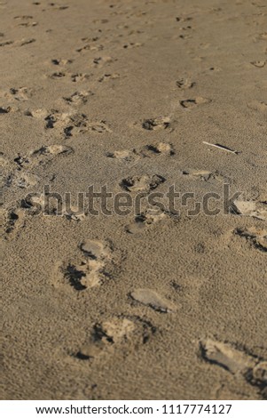 Track on sand