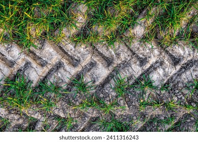 Track from a tractor tire on green field. Agricultural theme - Powered by Shutterstock