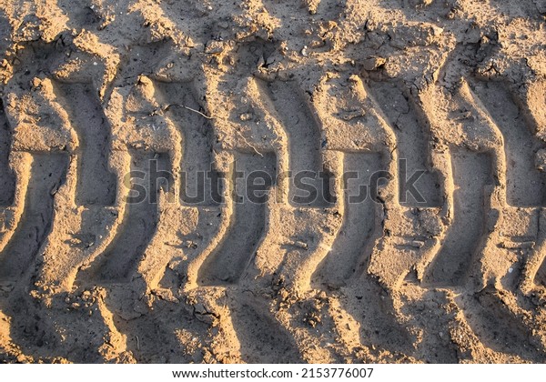 the track of tractor\
tracks in the sand