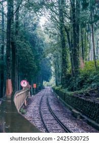 The track of trailway with people no crossing signs in the middle of forest at Alishan National Park, Taiwan
