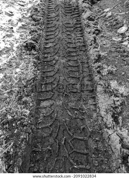 The track from the wheels of a car on a dirt road.\
Black and white photo