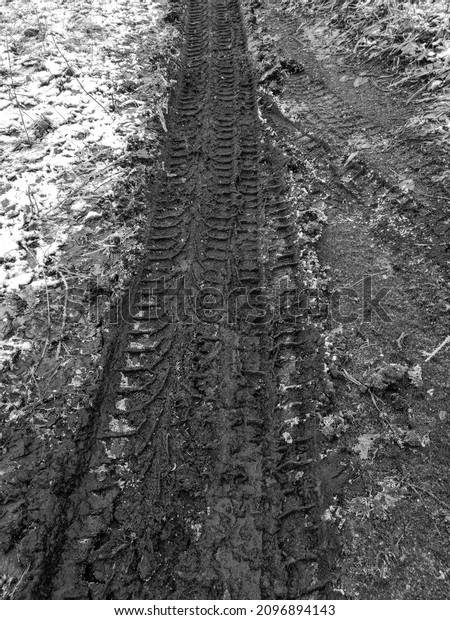 The track from the wheels of a car on a dirt road.\
Black and white photo