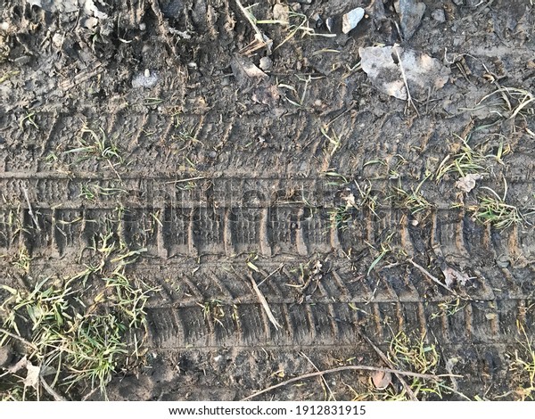 Track of winter tire in\
mud
