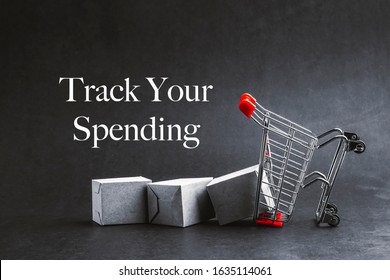 TRACK YOUR SPENDING Text With Shopping Cart On Dark Background. Business, Copy Space And Online Shopping Concept. Selective Focus