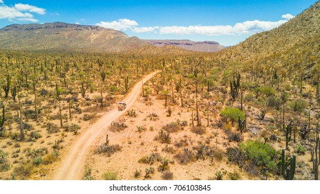 Tracks In Baja California, Mexico