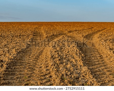 Tracks in the field in spring