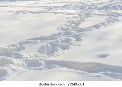 Tracks On The Snow