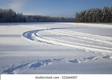 Tracks on snow