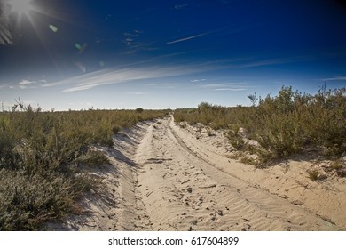 Tracks In The Sand. Little Desert National Park, Victoria, Australia