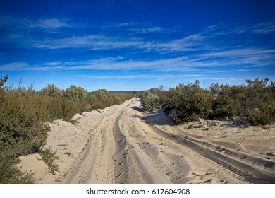 Tracks In The Sand. Little Desert National Park, Victoria, Australia