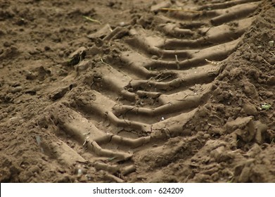 Tracks In Sandy Dirt From A Bobcat Machine