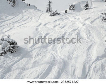 Tracks in the snow at Powder Mountain ski resort in Utah