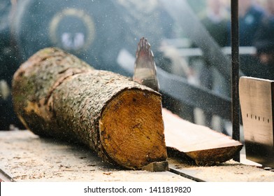 A Traction Engine Drives An Old Fashioned Portable Sawmill Table As It Cuts Timber From A Tree Trunk.