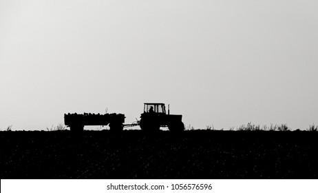 Tractor / agricultural tractor in the field 