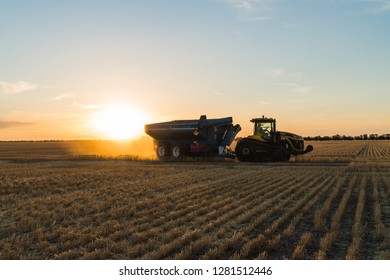 A Tractor With Chaser Bin With Sunset In The Background During Wheat Harvest In New South Wales, Australia.