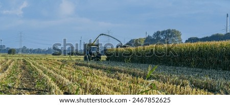 Tractor and corn chopper during corn harvest