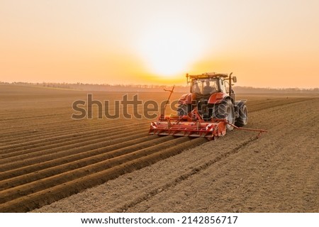 Tractor drives across large field making special beds for sowing seeds into purified soil. Agricultural vehicle works at sunset in countryside