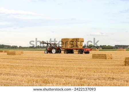 a tractor with a front loader and a wagon with big square straw bales drives in a yellow field with straw in the dutch countryside in summer