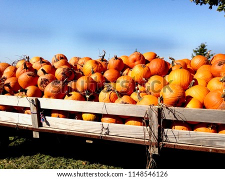 Tractor full of pumpkins