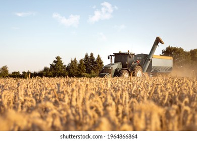 Tractor With A Grain Cart On A Wheat Field