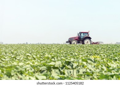 Tractor In The Green Field. Agriculture Machine.