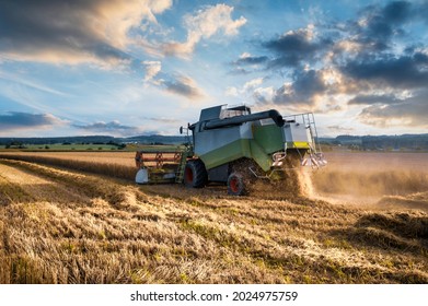 A Tractor Harvesting Wheat, Wheat Starch In The Summer Sunset On A Country Field In Luxembourg