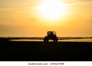 Tractor with the help of a sprayer sprays liquid fertilizers on young wheat in the field. The use of finely dispersed spray chemicals. Tractor on the sunset background.