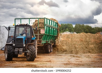 A tractor with a large trailer, unloads the silage into a trash.