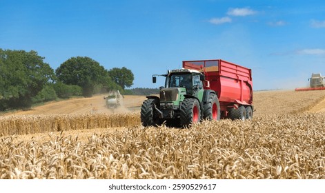 Tractor with loader wagon in the field during the grain harvest - 2794