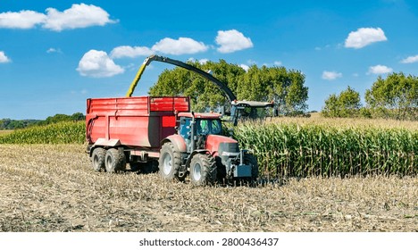 Tractor with a loading trailer and a corn chopper harvesting in a field - 4081