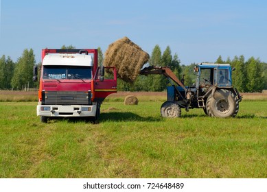 Tractor loads hay