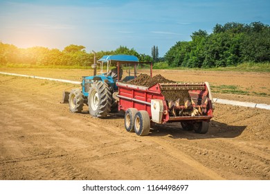 The tractor with the manure spreader working in the field