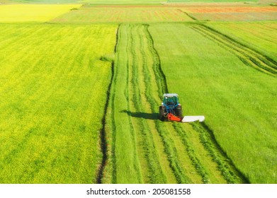 Tractor Mowing Green Field