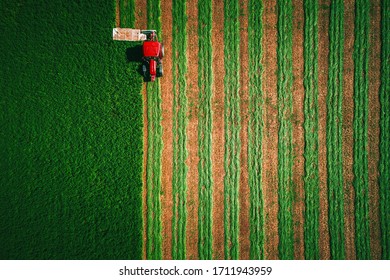 Tractor Mowing Green Field, Aerial View

