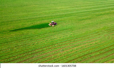 tractor mows the grass top view from the drone - Shutterstock ID 1601305708