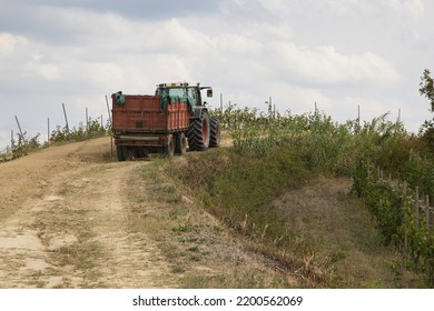 Tractor On A Country Road In A Hillside Of Piedmont In Italy