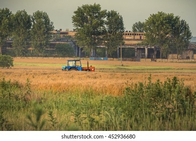  Tractor on a field. Tractor on wheat field.
