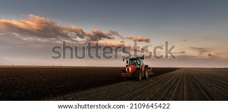  tractor plows the field in the evening at sunset.