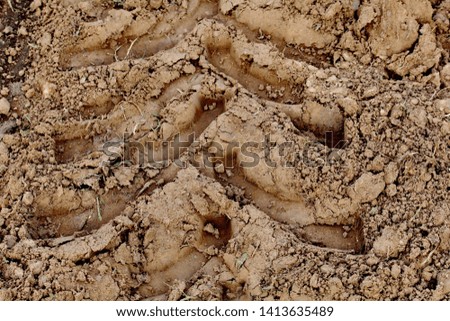 Tractor print on the ground 