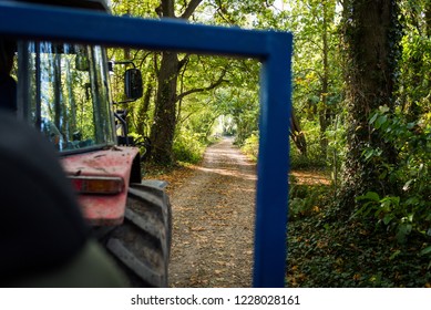 A Tractor Riding On A Narrow Country Lane With Fallen Autumn Leafs