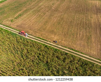 Tractor Running Through Empty Crop Field And Tree Plantation In Asian Country