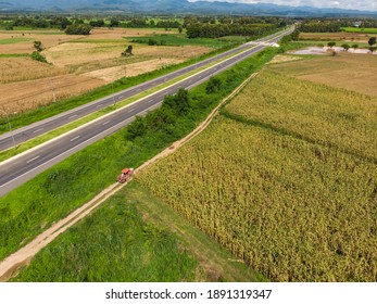 Tractor Running Through Empty Crop Field And Tree Plantation In The Asian Country